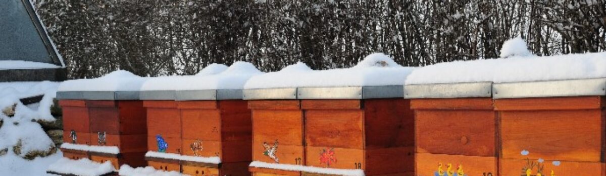 Der Bienenzuchtverein Amberg e.V. wünscht frohe Festtage und ein glückliches Neues Jahr 2019
