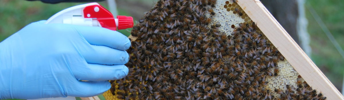 Oxalsäure zum Sprühen zugelassen