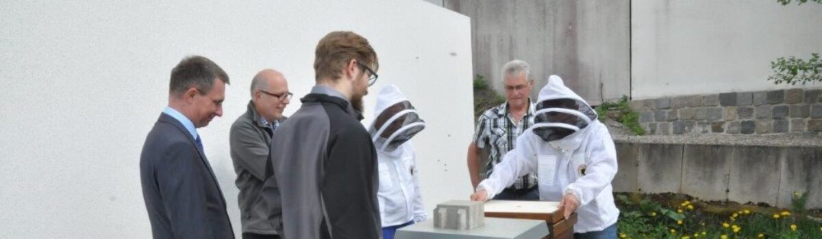 Beesharing Projekt mit den Stadtwerken Amberg